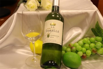 開個紅酒批發(fā)公司好不好